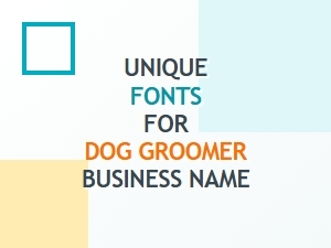 Unique Fonts for Dog Groomer Business Name