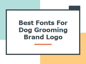 Best Fonts for Dog Grooming Brand Logo
