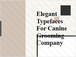 Elegant Typefaces for Canine Grooming Brand Identity